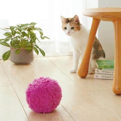 Magische Roller Ball