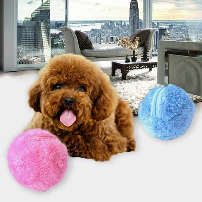 Magische Roller Ball