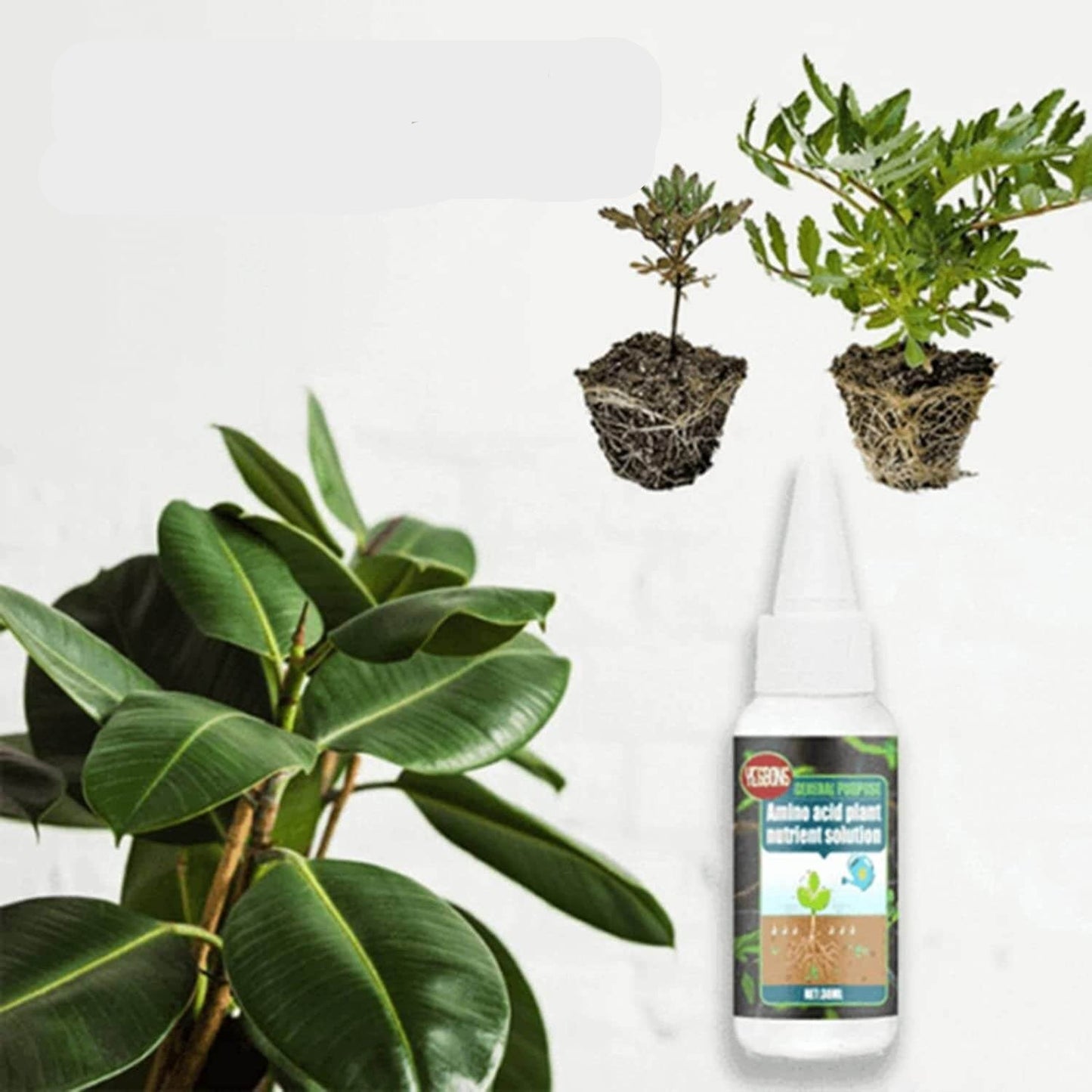 Plant Voedingsstof Oplossing