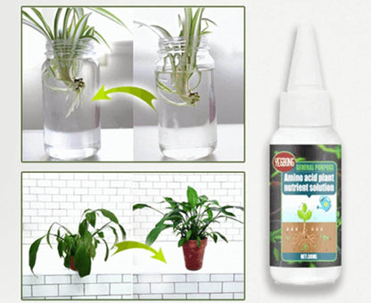 Plant Voedingsstof Oplossing