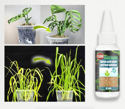 Plant Voedingsstof Oplossing
