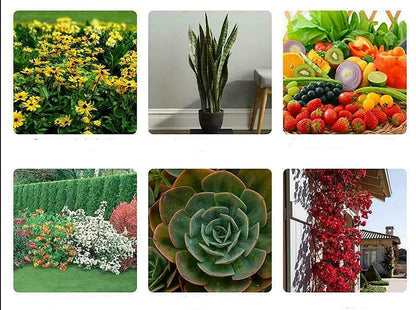 Plant Voedingsstof Oplossing