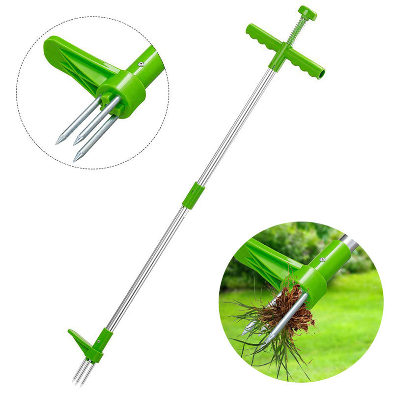 Root Killer | Wortel Verwijderaar
