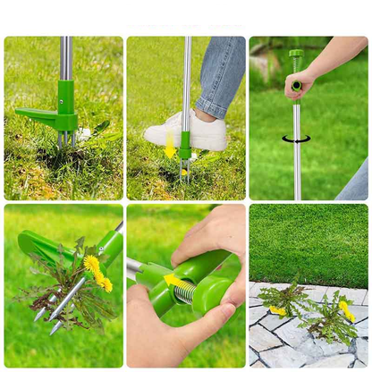 Root Killer | Wortel Verwijderaar