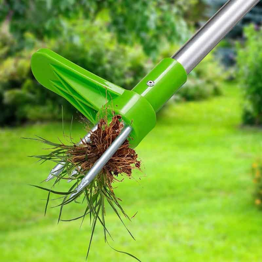 Root Killer | Wortel Verwijderaar